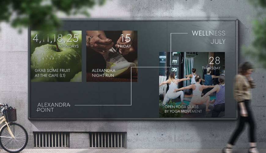 单县画册设计公司如何进行品牌审核